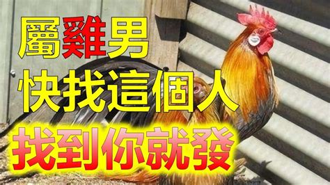 屬雞 配對|屬雞的和什么配婚姻最好 屬雞的最佳婚配表